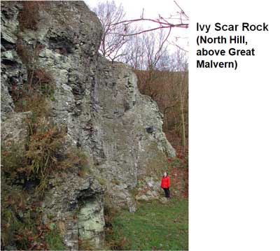slide_17.jpg