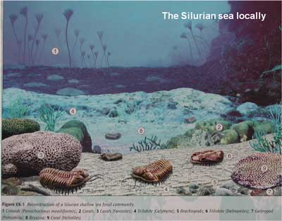 slide_20.jpg