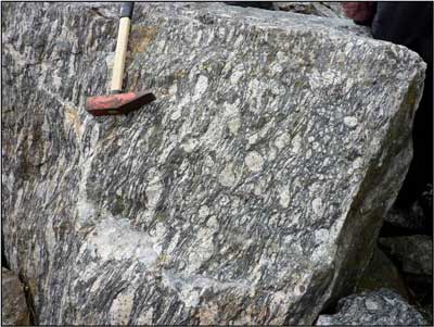 shetland_gneiss_2
