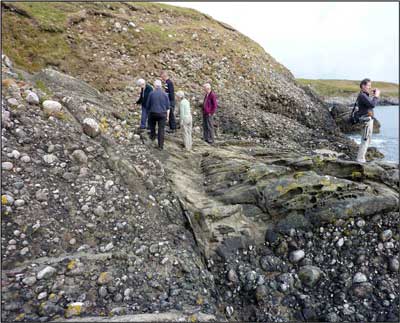 picture_36.jpg