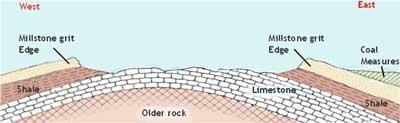 033_Cross_section.jpg