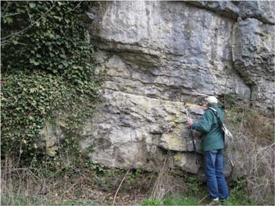 139_Wayboard_Millers_Dale.jpg