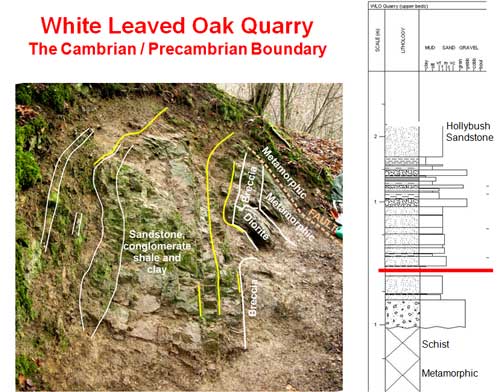 slide_24_500.jpg