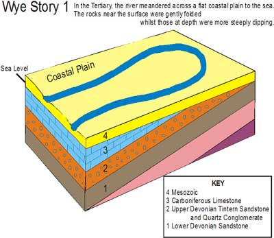 g-49.jpg