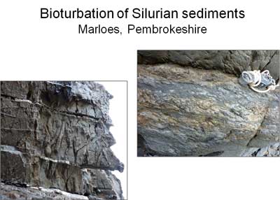 slide_14.jpg