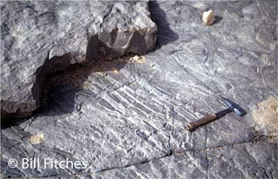 slide_50.jpg