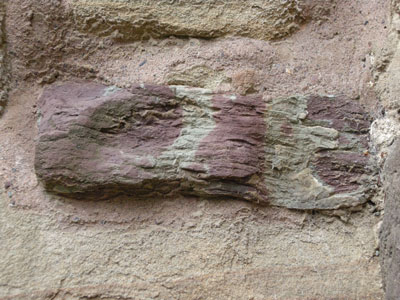 silurian_mudstone_web.jpg