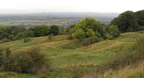 hummocky area.jpg