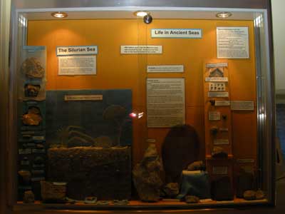 museum-exhibts-2.jpg