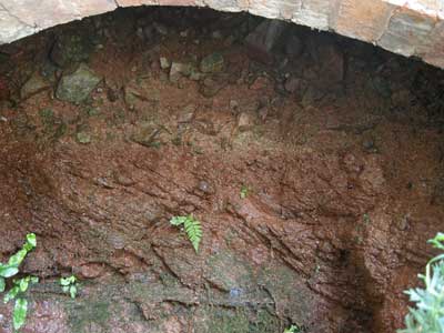 robson-ward-courtyard.jpg