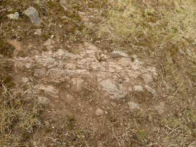 haffield_breccia