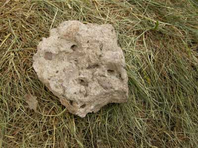 breccia_knapp