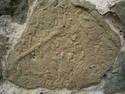 fossils2