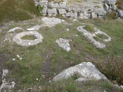 07_Fossil_Forest.jpg