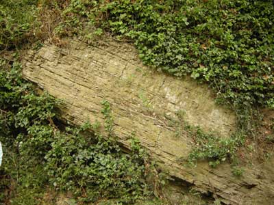 Devonian_outcrop