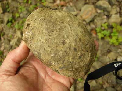 limestone_nodule