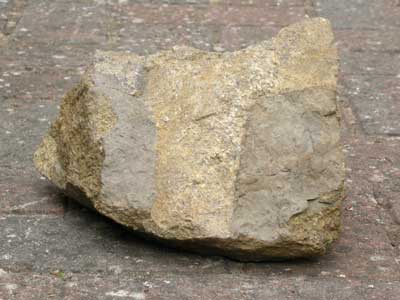mudstome_with_sandstone_cla.jpg
