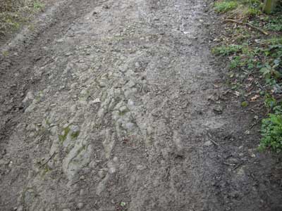 07_quarry_path.jpg
