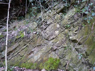 15_frith_rocksl.jpg