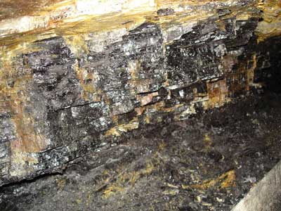 5_coal-face.jpg