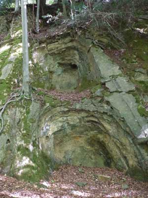 3_site_3.jpg