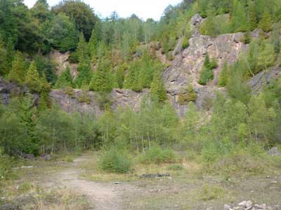 5_site_4.jpg