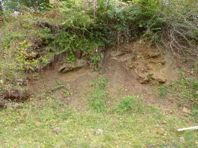 6_site_5.jpg