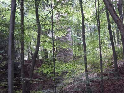 7_site_7.jpg
