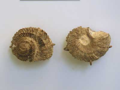 pic3.jpg