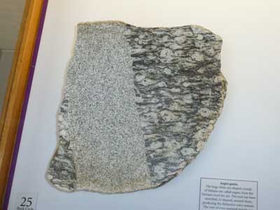 pic5.jpg
