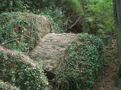Chase_End_Hill_2.jpg
