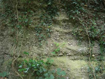 Chase_End_Hill_1.jpg