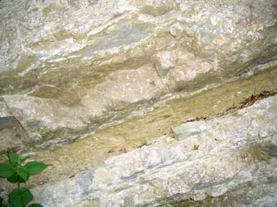 pic-2.jpg