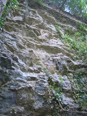 pic-4.jpg