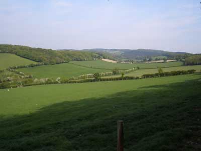 pic-7.jpg