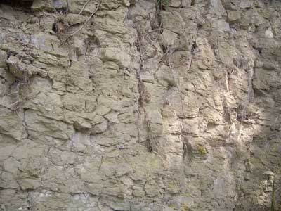 pic-10.jpg