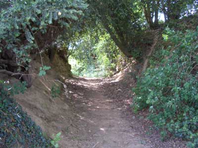 pic-17.jpg