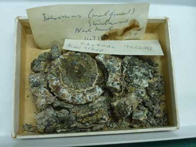 Pyrite decay.jpg