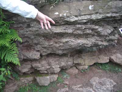 03_Limestone_exposure.jpg