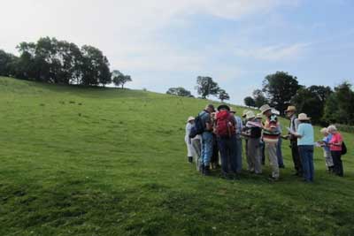 03 Landslip on Cockshott Quarry.jpg
