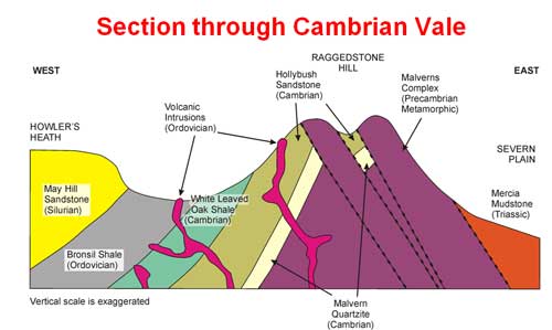 slide_9_500.jpg