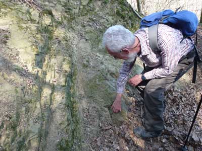 4 Top WLO quarry John.jpg