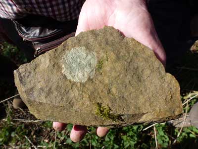 12 Quartzite.jpg